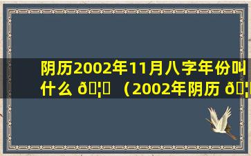 阴历2002年11月八字年份叫什么 🦆 （2002年阴历 🦄 11月11日出生是什么星座）